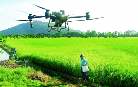 Nông dân An Giang tích cực ứng dụng chuyển đổi số vào sản xuất. Ảnh: Báo An Giang