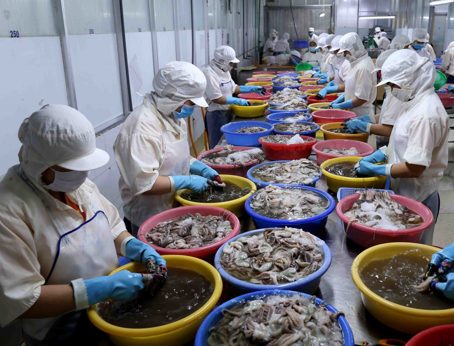 Cấp đông sản phẩm cá, mực xuất khẩu tại nhà máy của Công ty TNHH Huy Nam, khu cảng cá Tắc Cậu, huyện Châu Thành, tỉnh Kiên Giang. Ảnh: TTXVN.