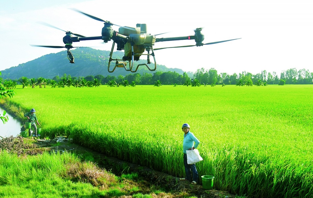 Nông dân An Giang tích cực ứng dụng chuyển đổi số vào sản xuất. Ảnh: Báo An Giang